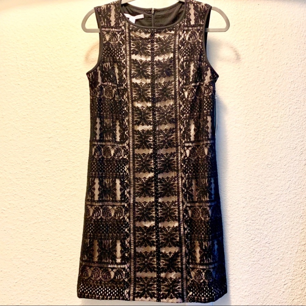 NWT Maggy London Lace Overlay Dress 4